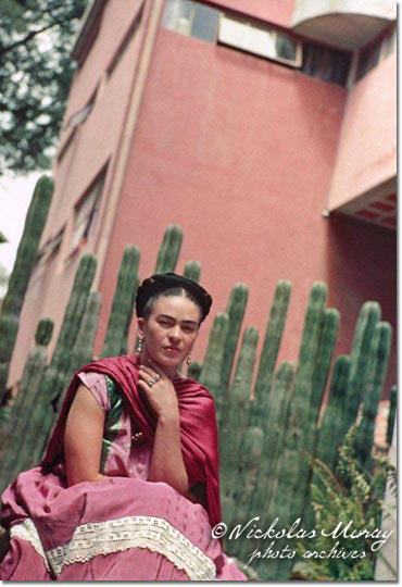 Frida by Organ Cactus Fence
